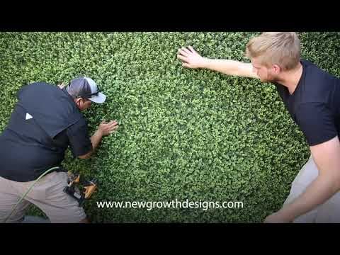 gallery image 5 Video