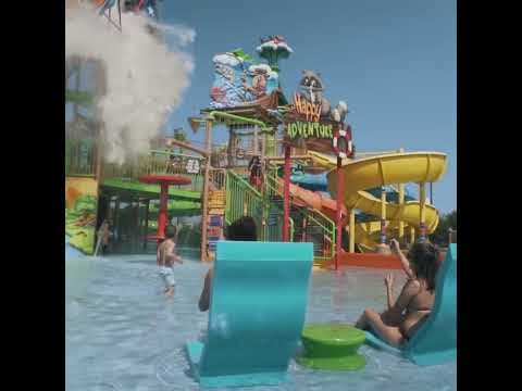 gallery image 11 Video
