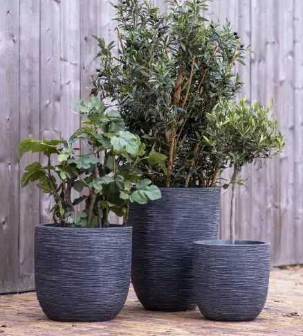 Planter Pots
