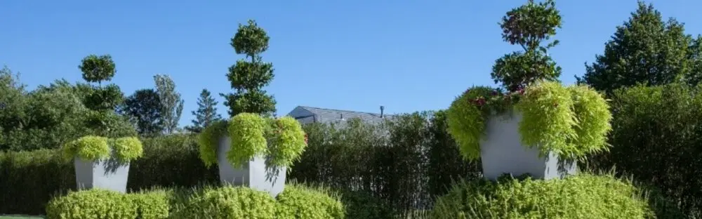 Use Outdoor Planters to Define Your Outdoor Space